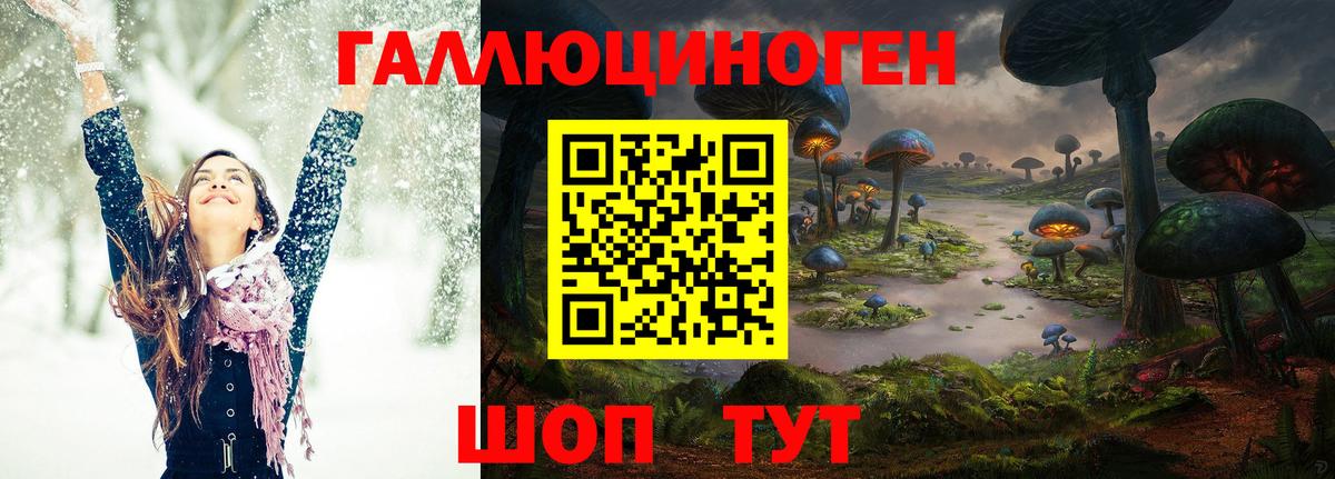 Кашира  Псилоцибиновые грибы прущие грибы  Вход с VPN 