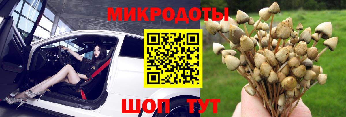 Псилоцибиновые грибы Magic Shrooms Кашира